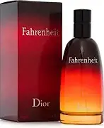 dior fahrenheit edt 100ml